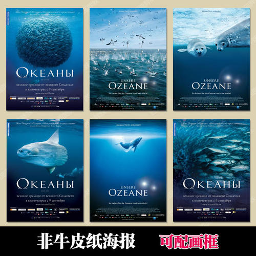 西伯利亚联邦大学市场开发文凭证书